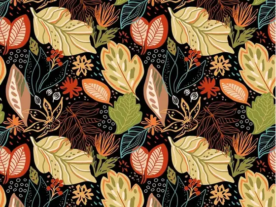 Nature & Landscape wallpaper collection